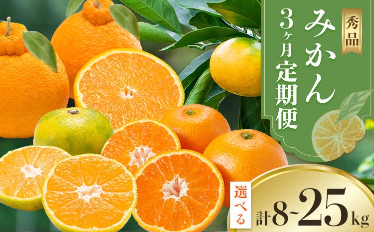 
                  秀品 みかん 3ヶ月定期便 選べる内容量 日本フルーツ株式会社《10月上旬-12月末頃出荷》熊本県 荒尾市  極早生みかん 温州みかん 葉付き 不知火 果物 フルーツ スイーツ デザート ギフト ご贈答
                