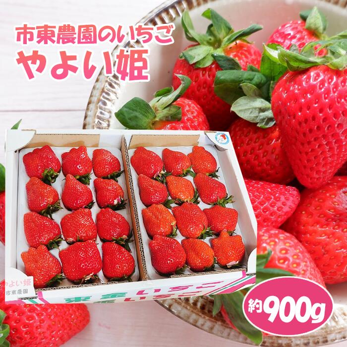 【ふるさと納税】No.075 【市東農園のいちご】やよい姫　約900g ／ いちご 苺 イチゴ フルーツ 新鮮 果物 旬 甘い 大粒 食べ応え ジューシー 朝採れ プレゼント ギフト 朝食 スイーツ 純国産 贈答用 食べ比べ 家庭用 送料無料 千葉県