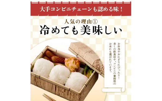 令和7年産 山形県産 はえぬき（精米）2kg 22年連続特A受賞 米 お米 おこめ 山形県 新庄市 F3S-2500