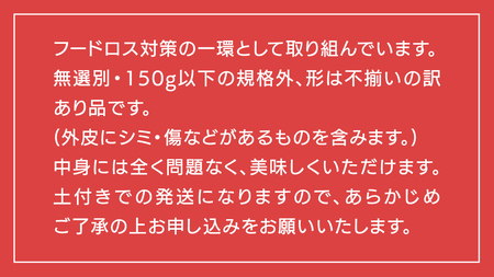 【 先行予約 2024年11月下旬以降発送 】【 訳あり 】 八千代町産 熟成 小芋 シルクスイート 生芋 土付き 10kg さつまいも サツマイモ 芋 イモ ふるさと納税 6000円 訳アリ [AX