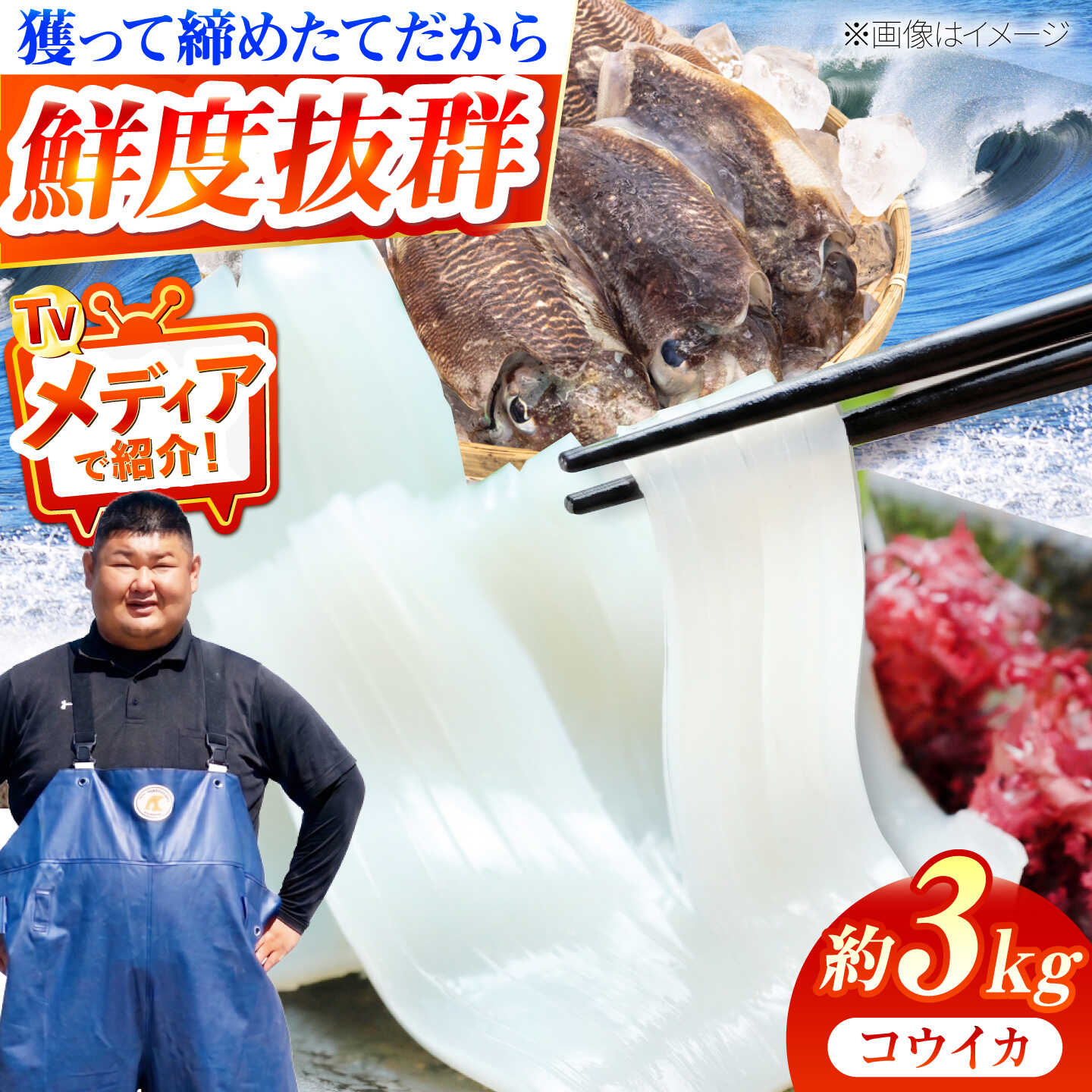 【ふるさと納税】【先行予約】築上町で捕れた コウイカ 約3kg (7〜15杯)【2027年3月下旬以降順次発送】《築上町》【明青丸】 いか イカ 海鮮 おつまみ 新鮮 海鮮丼 刺し身[ABCB008]