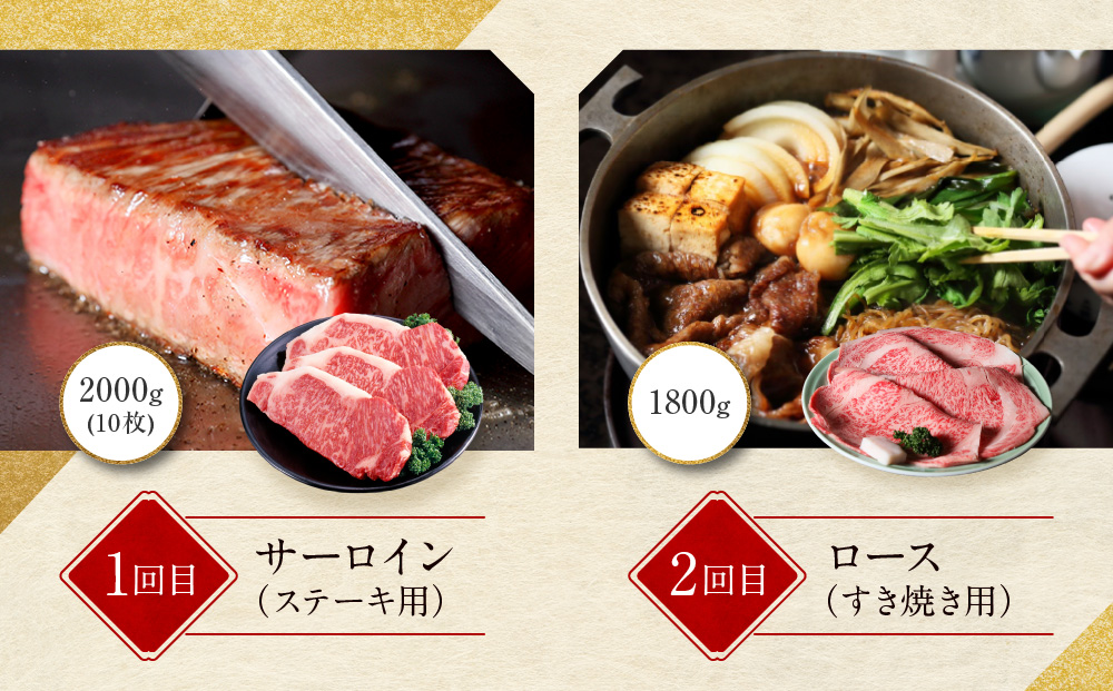 ＜定期便６回＞【京都モリタ屋】京都肉食べ比べ(3)［ 明治2年創業 京都初 牛肉専門店 有名店 高品質 和牛 切り落とし 人気 おすすめ グルメ お肉 牛肉 ブランド牛 京都肉 お取り寄せ 通販 送料
