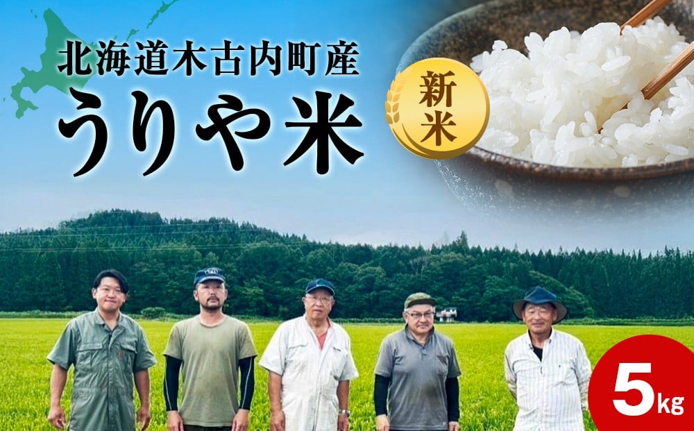 
            2025年10月より順次発送【秋山農園】うりやの新米　5kg（5kg×1袋）
          