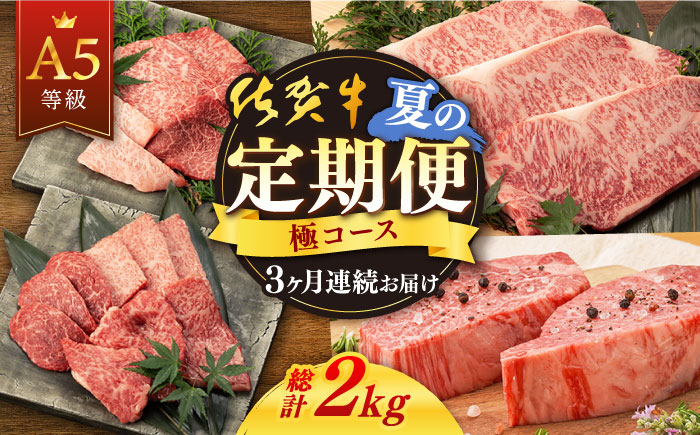 【3回定期便】佐賀牛 夏の定期便 極コース  / 佐賀牛 佐賀県産黒毛和牛 牛肉 定期便【桑原畜産】[NAB105]