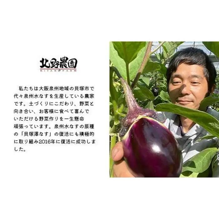 水なす丸漬酸味２個＋生水なす２個