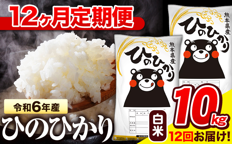 令和6年産 白米 【12ヶ月定期便】 ひのひかり 10kg《お申し込み月の翌月から出荷開始》 熊本県産 白米 精米 氷川町 ひの 送料無料 ヒノヒカリ コメ 便利 ブランド米 お米 おこめ 熊本