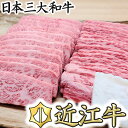 【ふるさと納税】【総本家　肉のあさの】5等級近江牛焼肉用（肩ロース・バラ）【500g】【牛肉】【牛】【a5】【国産】