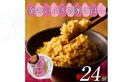 玄米ごはんパック 160g 24個 玄米 米 ごはん ご飯 こめ パックライス パックご飯 パックごはん ご飯パック ごはんパック パック ライス 備蓄 保存 非常 防災 電子 レンジ 温めるだけ レンチン 簡単 健康 ダイエット 美容 ヘルシー レトルト インスタント おいしい 人気 おすすめ 24 24食 おくさま印 金のいぶき 人気の玄米ご飯パック 美味しい玄米ご飯パック 大阪 松原