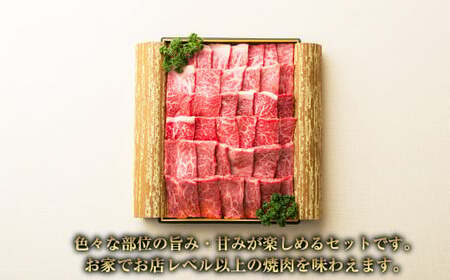 【全3回定期便】長崎和牛 焼肉セット カルビ ロース 赤身 計約600g ( 各200g ) 国産 和牛 牛肉 お肉