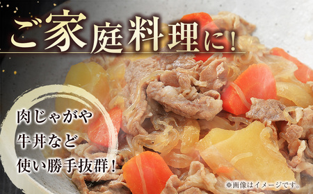 【３ヶ月定期便】宮崎牛  切落とし　600g×3回  A4等級以上 ブランド 内閣総理大臣賞4連覇　国産牛肉＜3.5-17＞