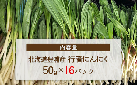 【2026年2月以降順次出荷】北海道豊浦産 行者にんにく 50g×16パック TYUF009 | にんにく