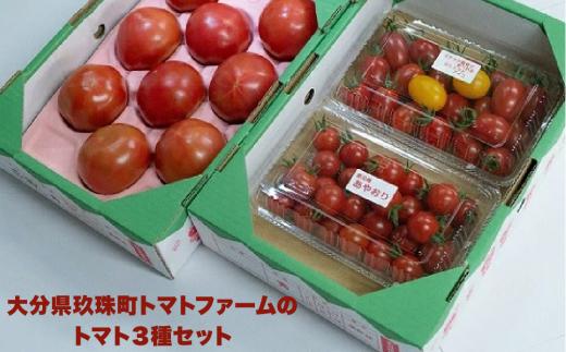 トマト3種セット （観光農園トマトファーム） 大分県 玖珠