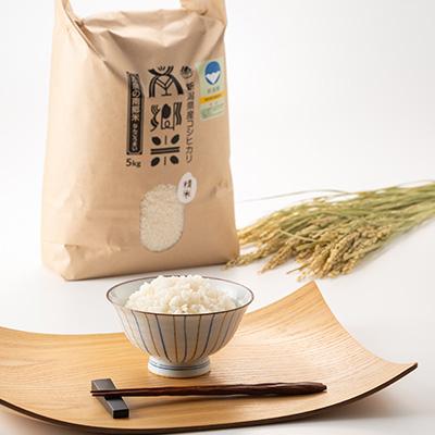 ふるさと納税 五泉市 令和7年産 特別栽培米 隠れたお米の名産地!新潟県五泉産コシヒカリ「南郷米」精米5kg |  | 03