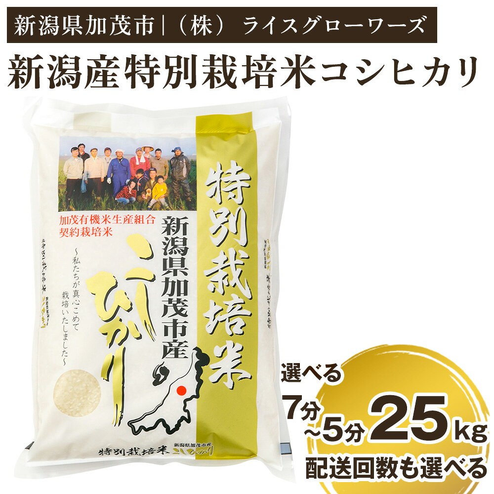 【ふるさと納税】【令和8年産新米先行予約】【分づき米】新潟県加茂市産 特別栽培米コシヒカリ 精米25kg（5kg×5）選べる配送回数・精米歩合（通常配送1回〜定期便6回 / 7分づき or 5分づき） 《10月上旬～順次出荷》 従来品種コシヒカリ （株）ライスグローワーズ