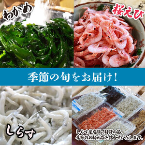 040-3　味が自慢の駿河湾産しらす屋のおすすめ