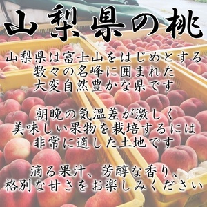 5-97 南アルプス市産高糖度　特選大玉桃 約2kg【5～6玉】