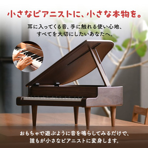 ピアノ KAWAI高級家具調ミニグランドピアノ飛騨 雑貨 ピアノ