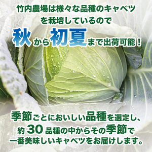キャベツ 約10kg 4玉 ～ 8玉 キャベツ