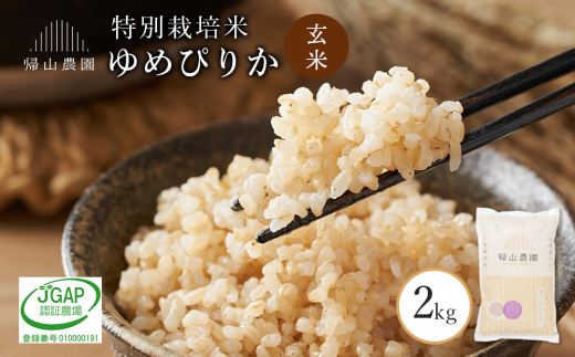 玄米 ゆめぴりか 2kg特別栽培米産地直送《帰山農園》