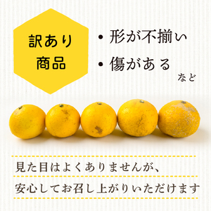 【 訳あり 】小夏 ( 日向夏 ) サイズ おまかせ ( S～Lサイズ ) 5kg 無印 等級  旬 高知 県 須崎 産  柑橘 初夏 フルーツ ｺﾅﾂ 果物 小夏 こなつ ｺﾅﾂ ひゅうが夏 ｺﾅﾂ