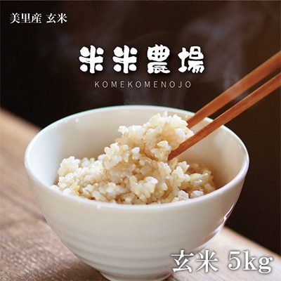 【令和7年産】熊本県美里町のお米ヒノヒカリ玄米 5kg×1袋