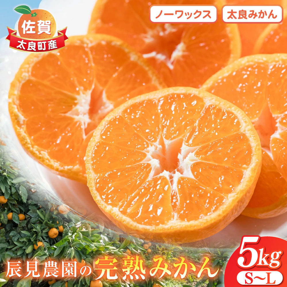 【ふるさと納税】L90x1【先行予約】辰見農園の完熟みかん 5kg | みかん ミカン 蜜柑 小玉 有明海 柑橘 甘い Sサイズ 完熟 果物 フルーツ 佐賀県 太良町 【2026年10月下旬-2027年3月下旬発送予定】