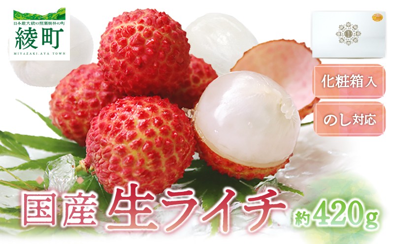 
                  【先行予約/数量限定】希少 国産 綾生ライチ（化粧箱入り）  宮崎県 綾町産 ライチ 贈答 ギフト プレゼント 国産ライチ 果物 フルーツ 生ライチ 産地直送 期間限定 送料無料 お中元【JA綾町】_A0114-1041
                