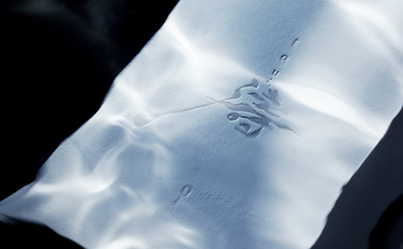 【ふるさと納税】【限定醸造】日本海の荒波が育んだ 海底熟成日本酒「濤〈TOU〉 02」（720ml）お酒 15度 希少品 限定 新潟 上越 ギフト 贈答 化粧箱入り 送料無料 シリアルあり 【チタン製