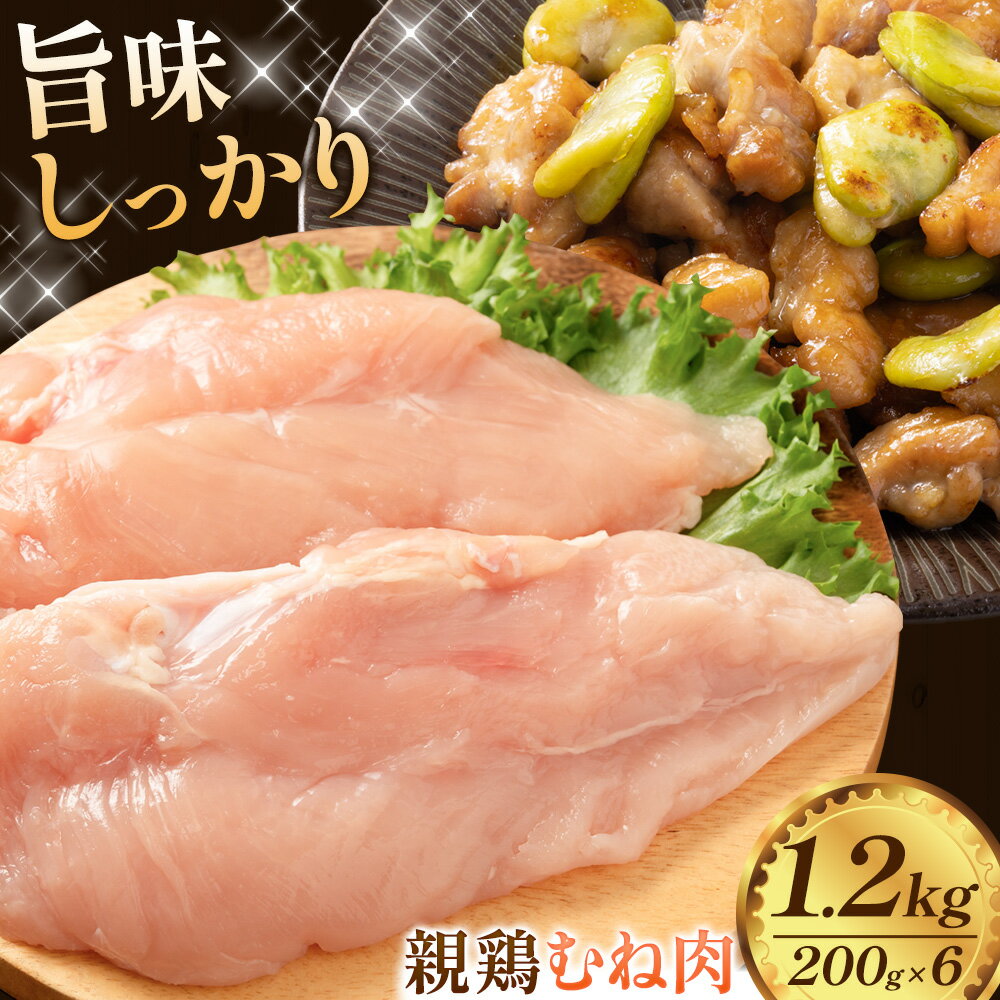 【ふるさと納税】国産 親鶏 むね肉 1.2kg 200g×6パック カット済《30日以内に出荷予定(土日祝除く)》 親鶏 親むね おやどり 親どり ひねどり ひね鳥 ひね鶏 むね ムネ 鶏肉 とり肉 純鶏 純けい じゅんけい 焼肉 焼き肉 焼鳥 焼き鳥 やきとり 精肉 冷凍