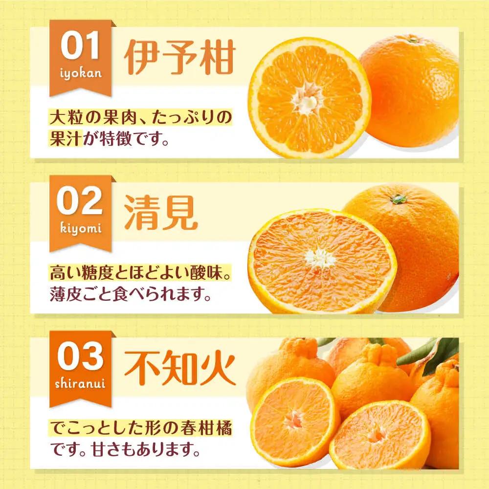 柑橘【3月上旬発送】柑橘おまかせセット[AGBN053]