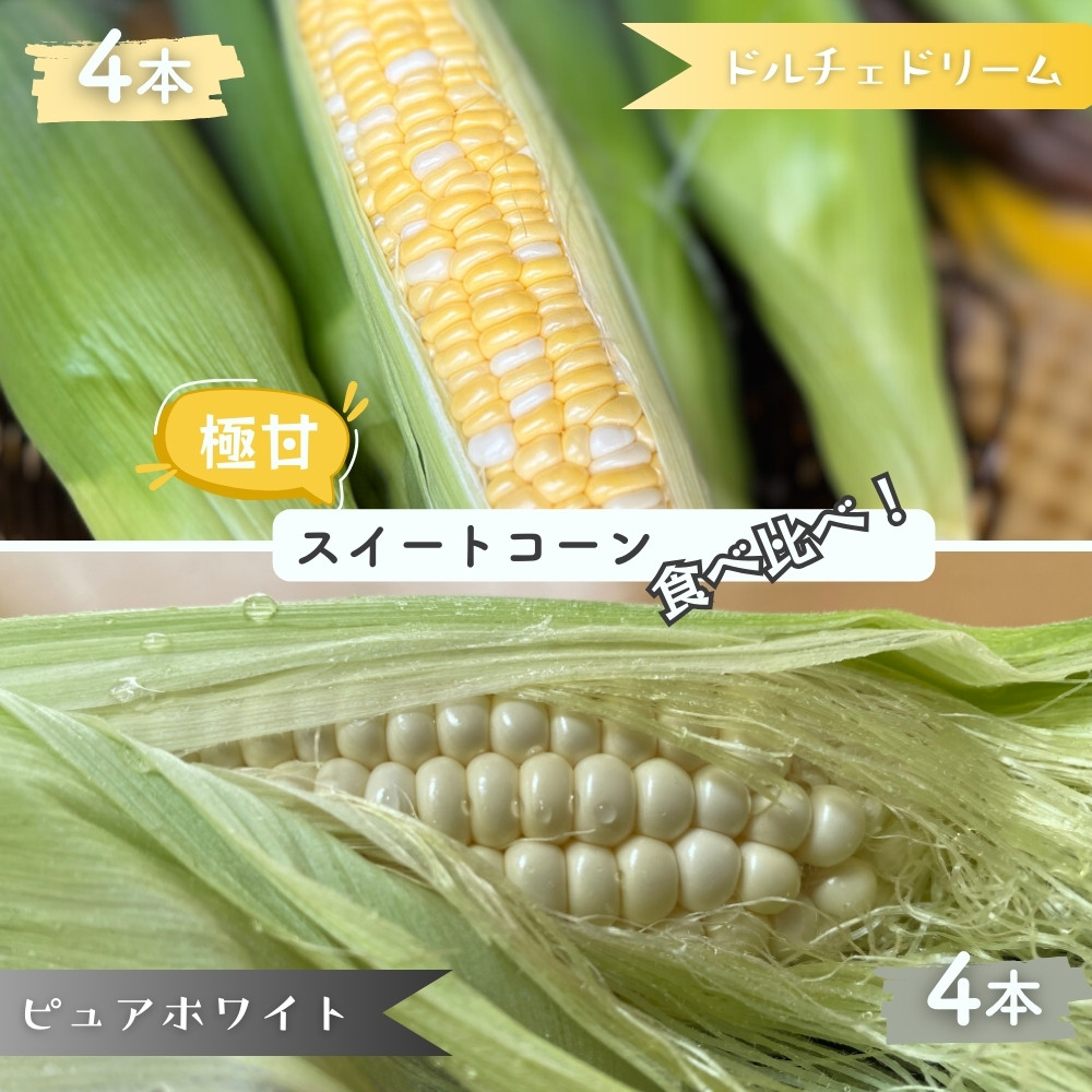 
            ドルチェとホワイト夢の競演！話題の2品種食べ比べ8本入り バイカラーとうもろこし 黄とうもろこし 白とうもろこし 朝採りとうもろこし スイートコーン ドルチェドリーム ピュアホワイト
          
