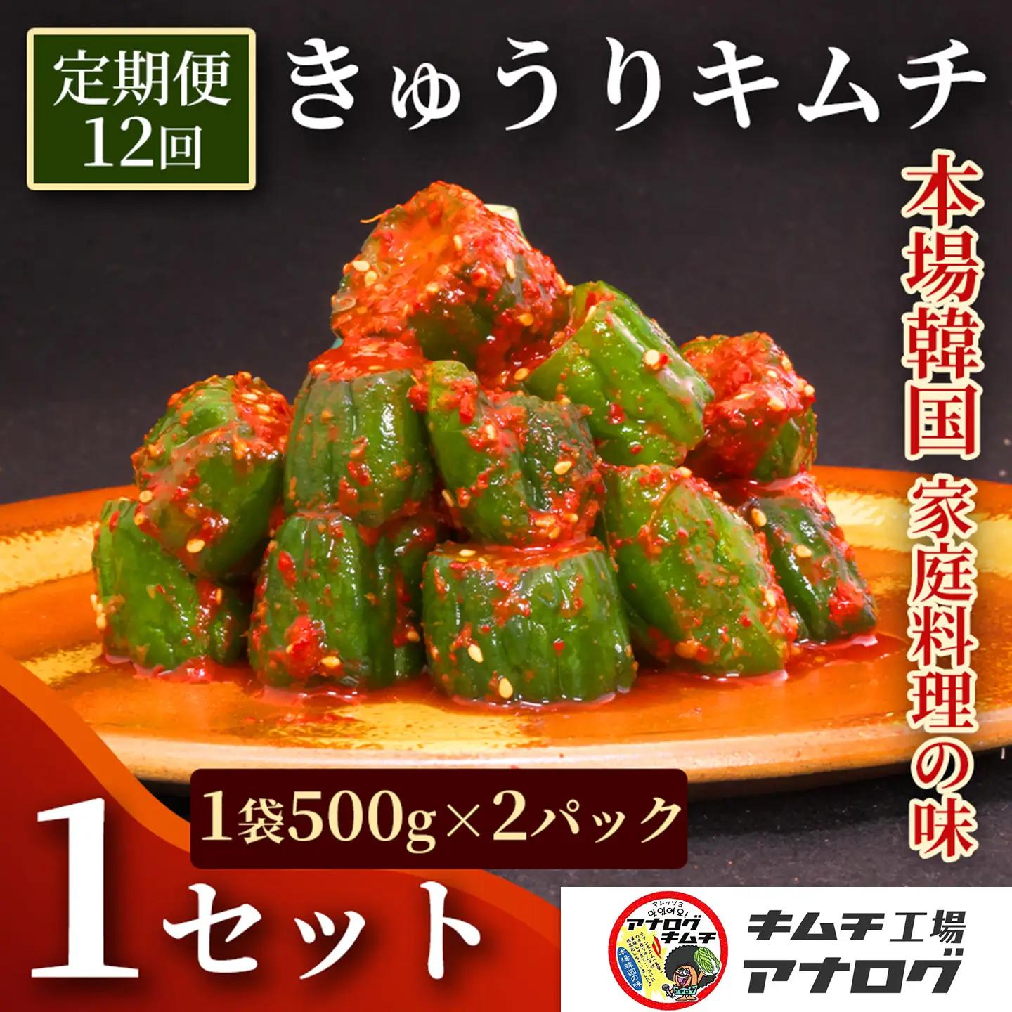 【12カ月定期便】熟成秘伝のオイ(きゅうり)キムチ(500g×2パック)(H104212)