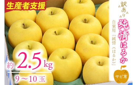 ＼訳あり／りんご 純情 はるか 約2.5kg 糖度14度以上【先行予約 12月発送】数量限定 わけあり 自家用 岩手県産 りんご リンゴ 林檎 はるか 純情はるか フルーツ くだもの 果物 【冬恋研究会】 (AI011)