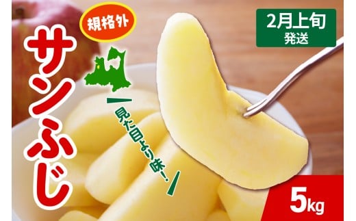 【2026年2月上旬発送】りんご サンふじ 約 5kg 規格外 程度 青森 五所川原 不揃い サン ふじ りんご規格外