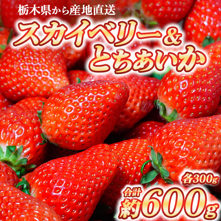【数量限定】 いちご食べ比べセット スカイベリー300g＆とちあいか300g ｜ いちご 栃木 スカイベリー 甘い 糖度 旬 新鮮 フルーツ 果物 アレンジ スイーツ いちごジャム フルーツサンド ※2025年12月下旬～2026年3月下旬頃に順次発送予定 ※北海道・沖縄・離島への配送不可
