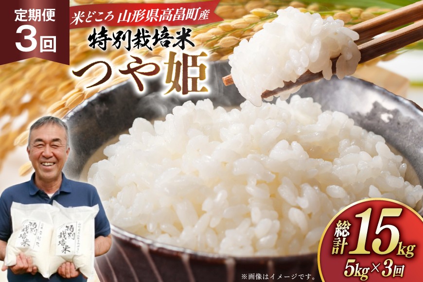 米 定期便 3回 令和8年 つや姫 5kg 3回 計15kg [渡部ファーム 山形県 高畠町 tk06ays810037] お米 白米 精米 ごはん ご飯 ブランド米
