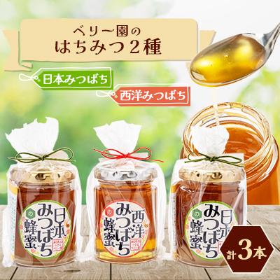 ふるさと納税 防府市 海の見える小さなベリー園の日本みつばちと西洋みつばちの「ハチミツ」【非加熱】の食べ比べセット(C)