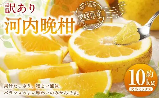 河内晩柑 訳あり 大小ミックス （10kg） 【えひめの町（超）推し！（愛南町）】【2026年8月上旬までに発送予定】 (513)