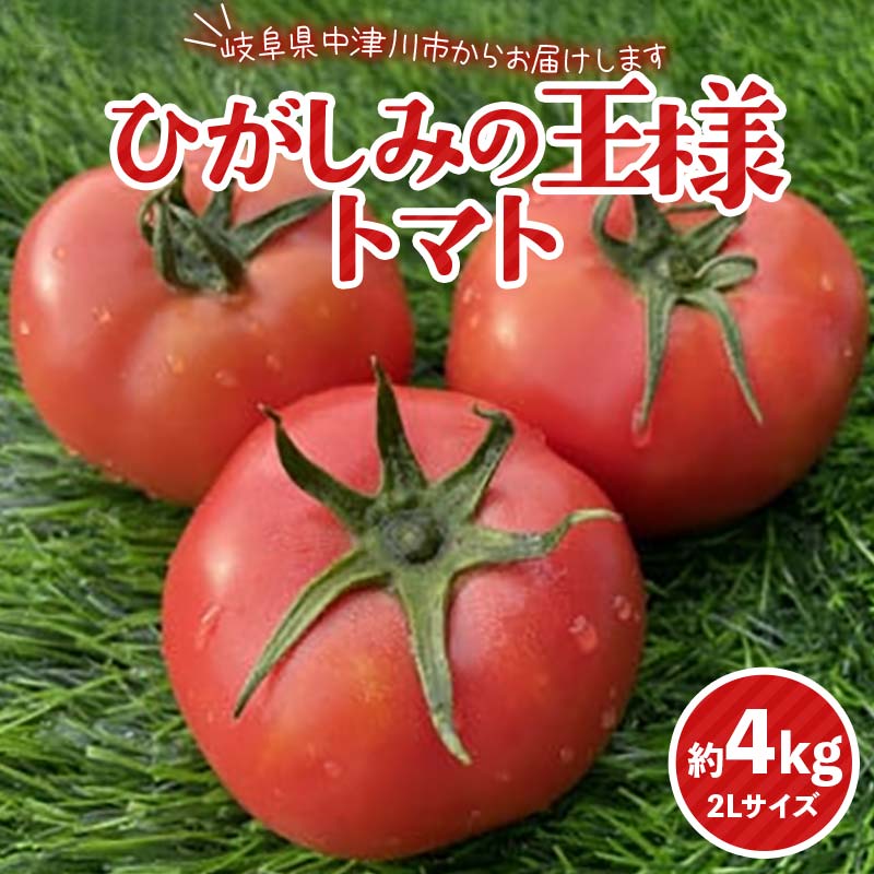 【ふるさと納税】赤熟もぎりのひがしみの王様トマト約4kg 東美濃農業協同組合【期間限定　選果場直送！】 F4N-1962