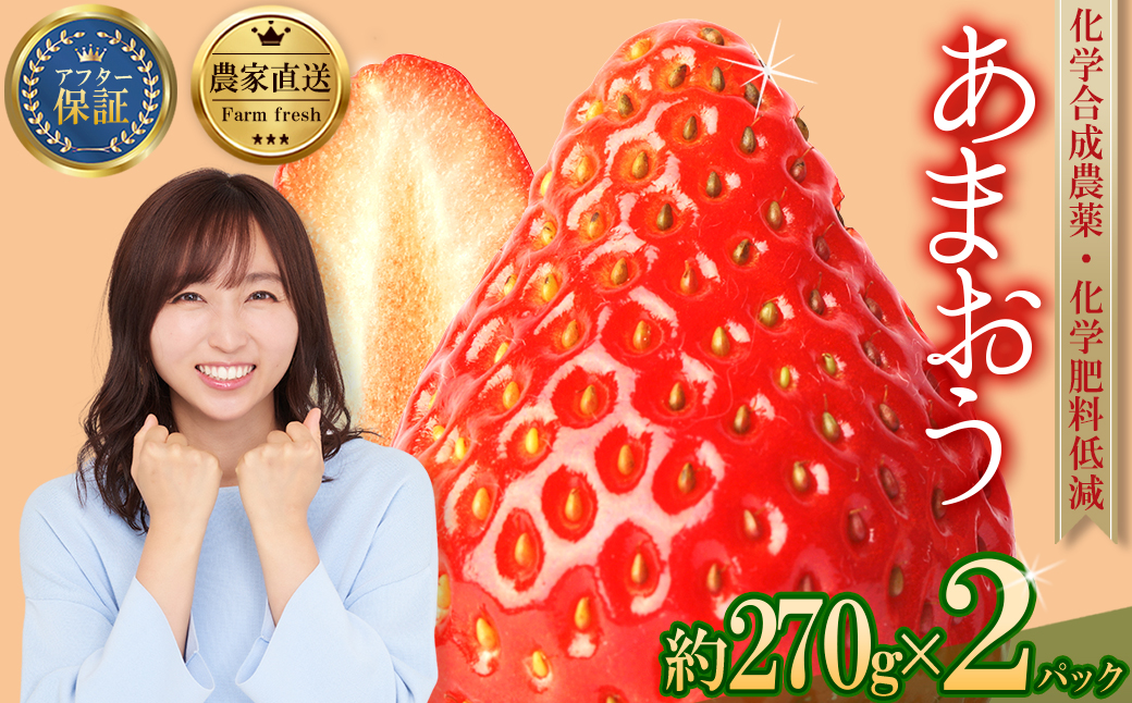 農家直送！ 特別栽培 あまおう 約270ｇ×2パック【数量限定】 3W19