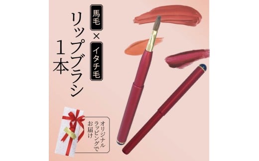 リップブラシ レッド キャップ付き イタチ 馬毛 メイク メイクブラシ 化粧筆 発色が良く 塗りやすい 持ち運び 携帯用 口紅 リップ シワ 高級 贈り物 プレゼント 母の日 誕生日 贈答品 ギフト 美容 メンズメイク 大阪府 松原市