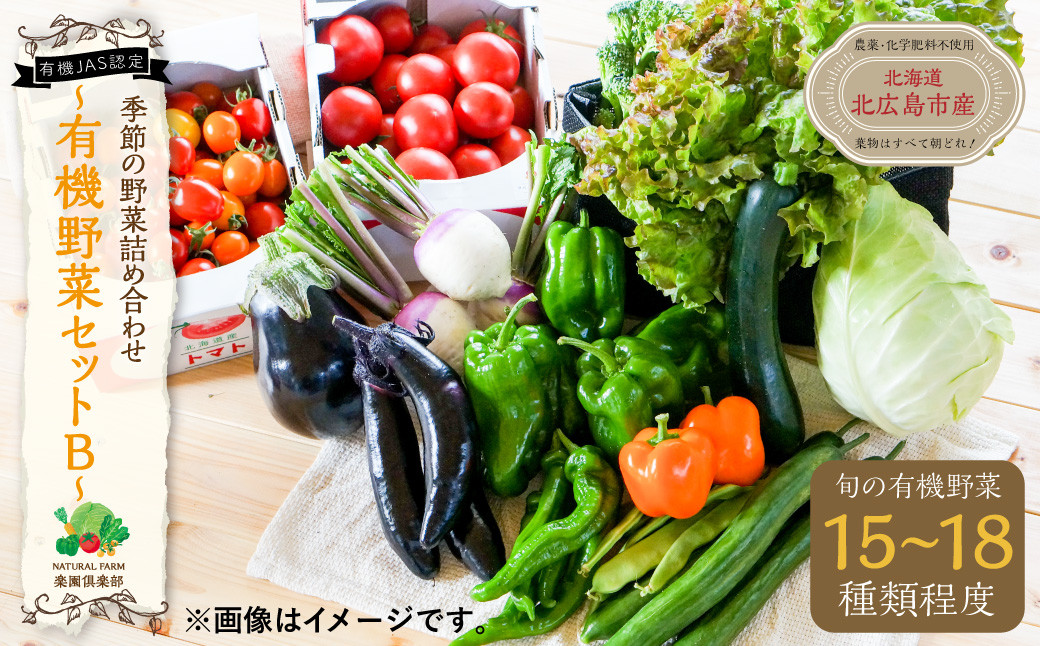 
【有機JAS認定】季節の野菜 詰め合わせ 15種類～18種類程度 ～有機野菜セットB～ 北海道北広島市
