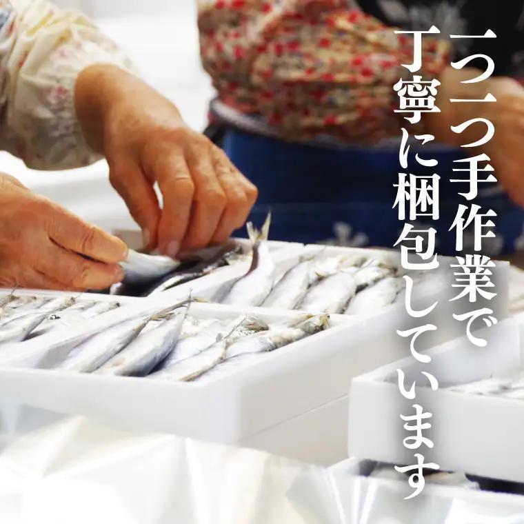 いわしの丸干し（８尾）４セット|イワシ 魚  干し魚 受賞 食品 推奨マーク 茨城県 北茨城市（BH009）