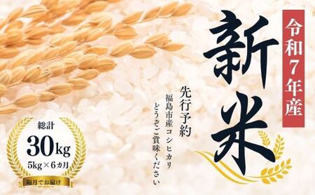 No.1503【令和７年産新米　先行予約】大文字屋米穀店【定期便6回】コシヒカリ 5kg 精米（隔月でお届け）