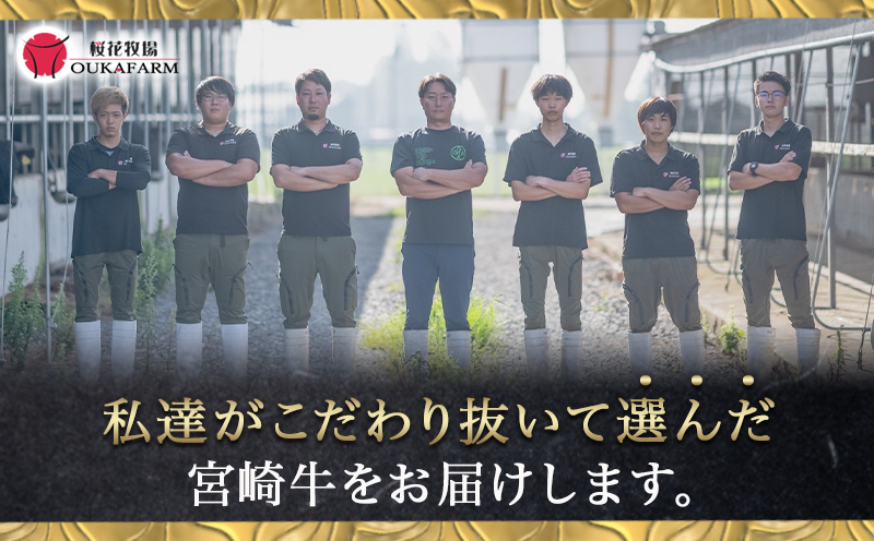 宮崎牛切り落とし500g_12-6503
