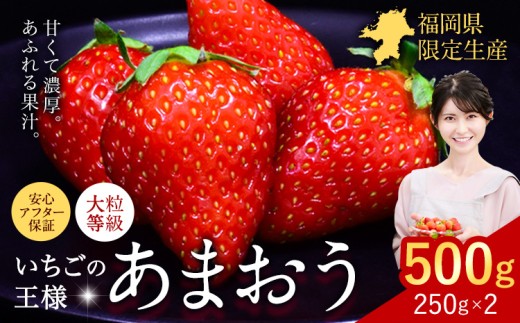★2027年出荷分★いちご あまおう 先行予約 500g (約250g×2パック) 苺 送料無料【着日指定不可】《2月中旬-3月中旬頃出荷》イチゴ 果物 フルーツ 福岡県 鞍手郡 小竹町