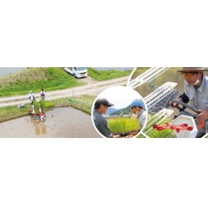 夫婦杉・自然米酒900ml×2本(贈答箱入)【1316378】