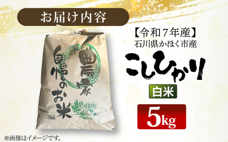 【令和7年産】こしひかり  白米 5kg | コシヒカリ 