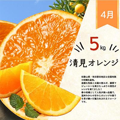 ふるさと納税 日高川町 【発送月固定定期便】紀州和歌山産旬のフルーツセット(みかん・清見・桃・柿)全4回 |  | 01