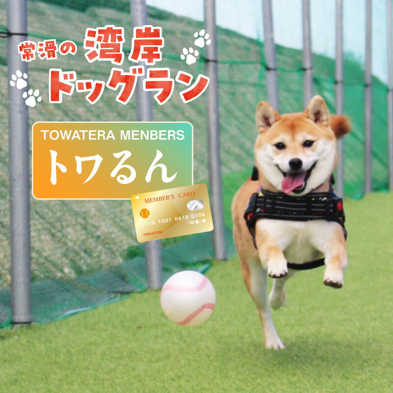 【ふるさと納税】「トワるん」会員入会ドッグラン、ペットホテルなどをお得に利用できる【TOWATERAメンバーズ】 犬 ペット おでかけ 知多半島 観光 体験チケット プール トリミング ペットホテル 犬用ホテル カフェ ペット同伴 犬連れ 会員権
